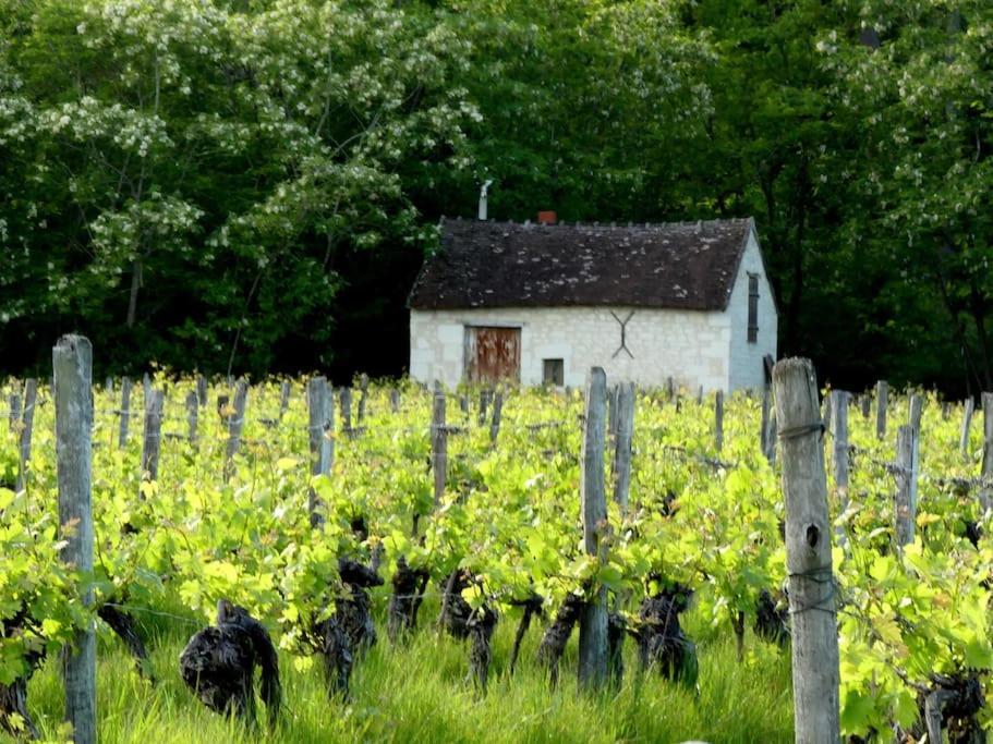 Maison De Bourg Paisible Parcay-sur-Vienne Eksteriør billede
